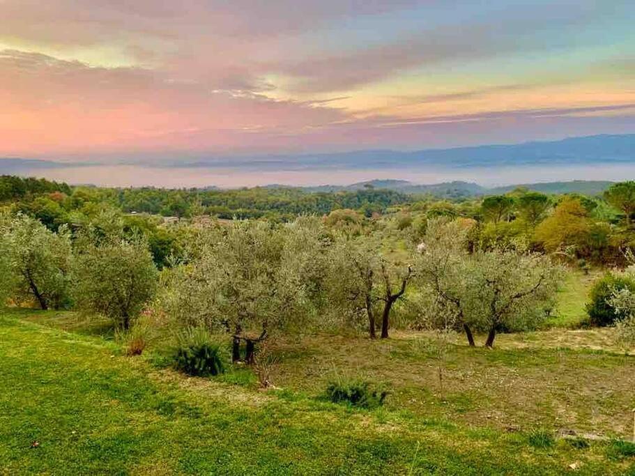 Vesper - Casale Con Piscina - Ad Galli Cantum Città della Pieve Exteriér fotografie