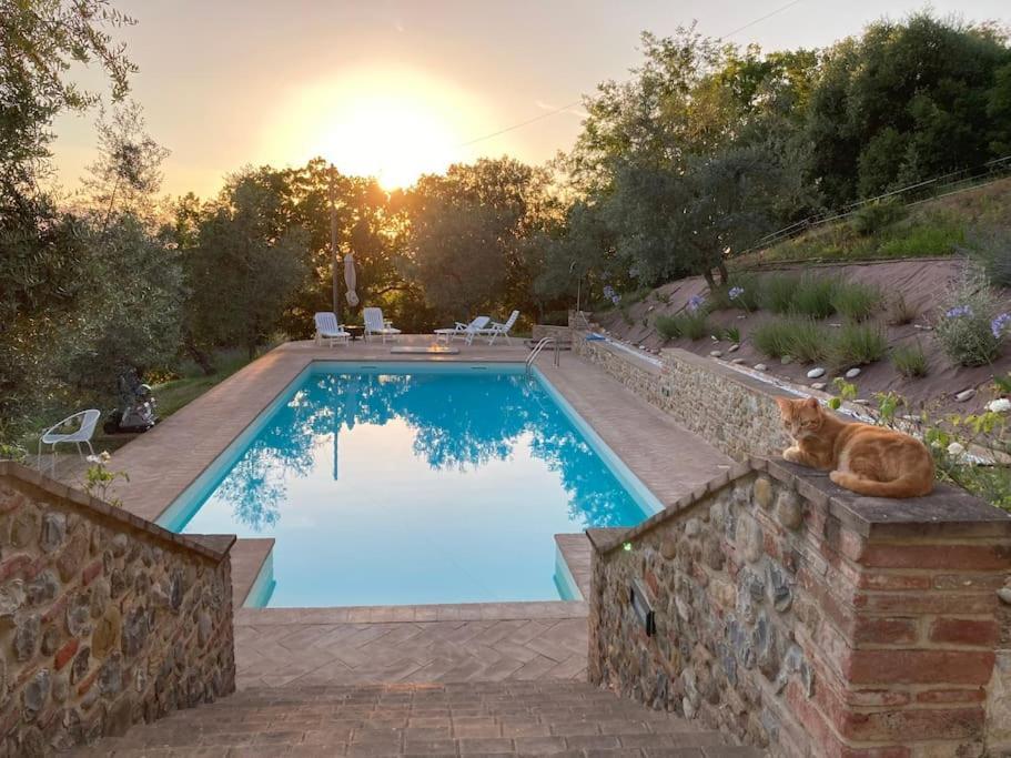 Vesper - Casale Con Piscina - Ad Galli Cantum Città della Pieve Exteriér fotografie