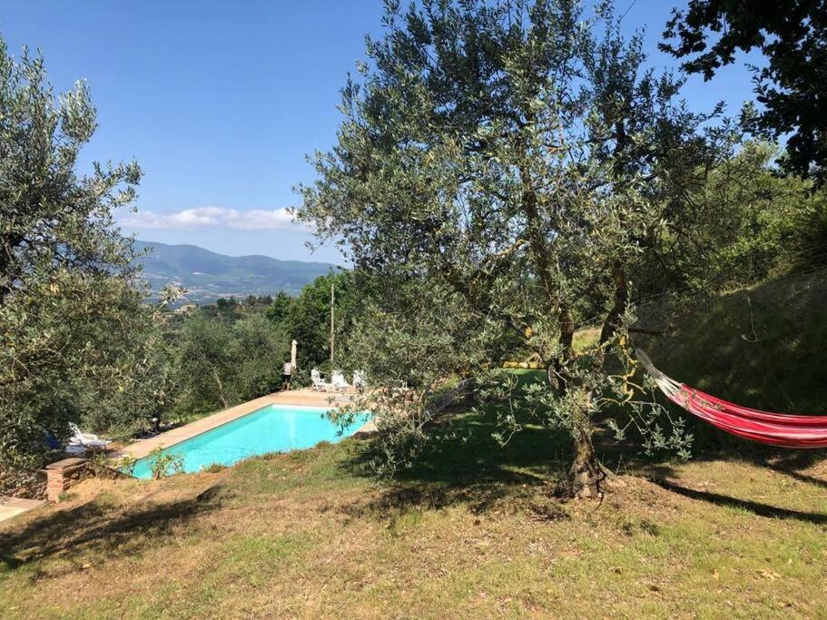 Vesper - Casale Con Piscina - Ad Galli Cantum Città della Pieve Exteriér fotografie